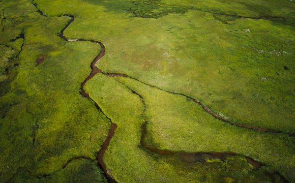 Arial photo of green river