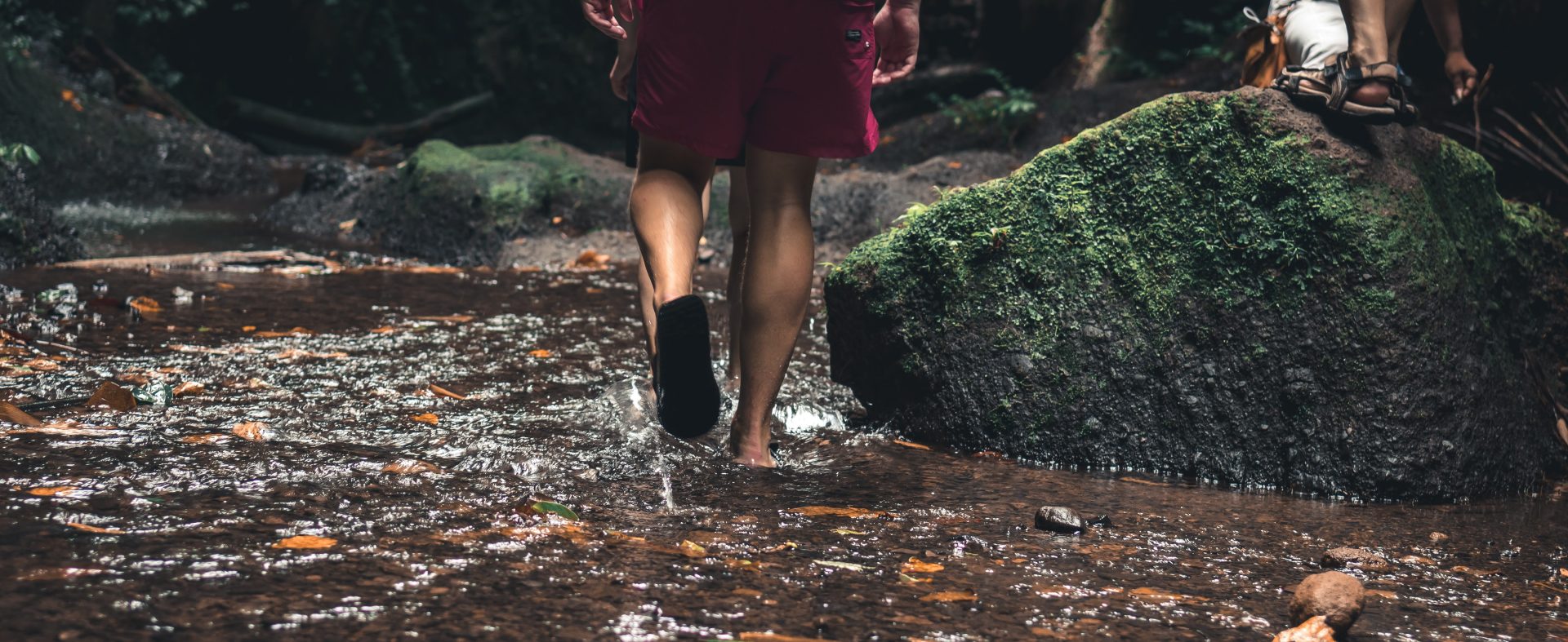 A view of a person from behind walking through a stream.