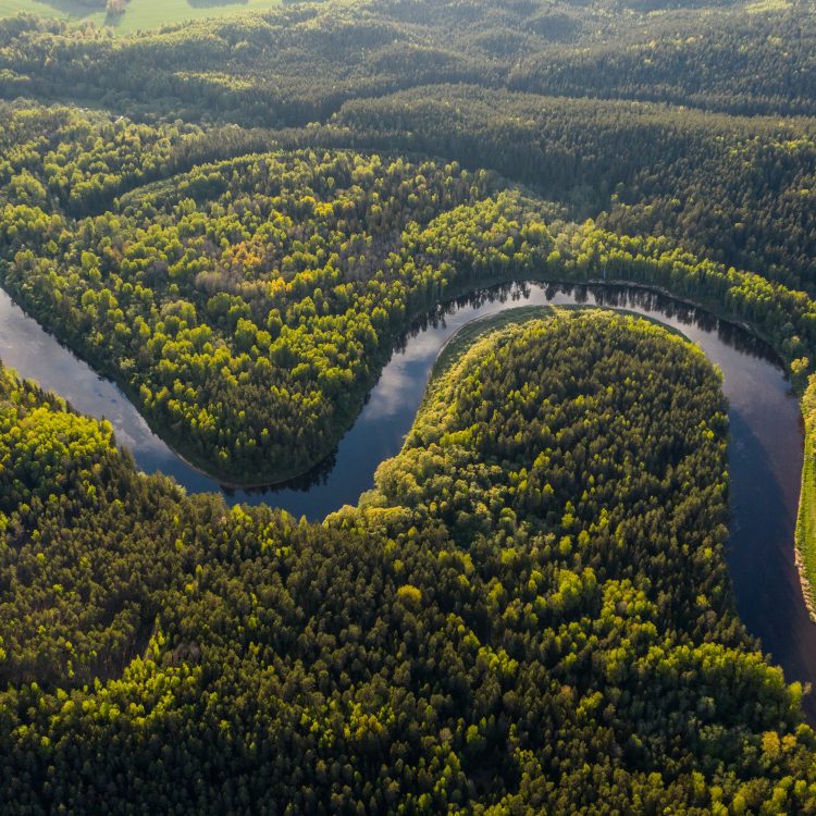 Arial Photo of winding river