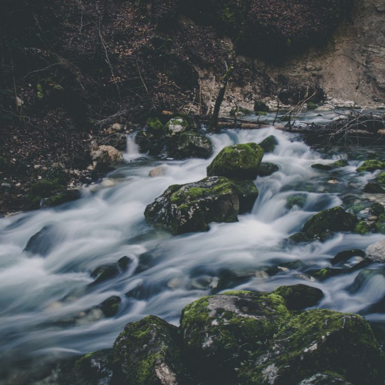 Mossy River photo