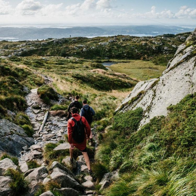 Students hiking on trail