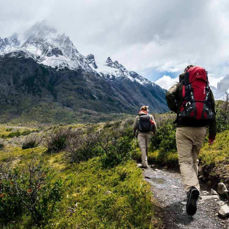 two people hike through a field with yellow flowers and snow capped mountains in the background