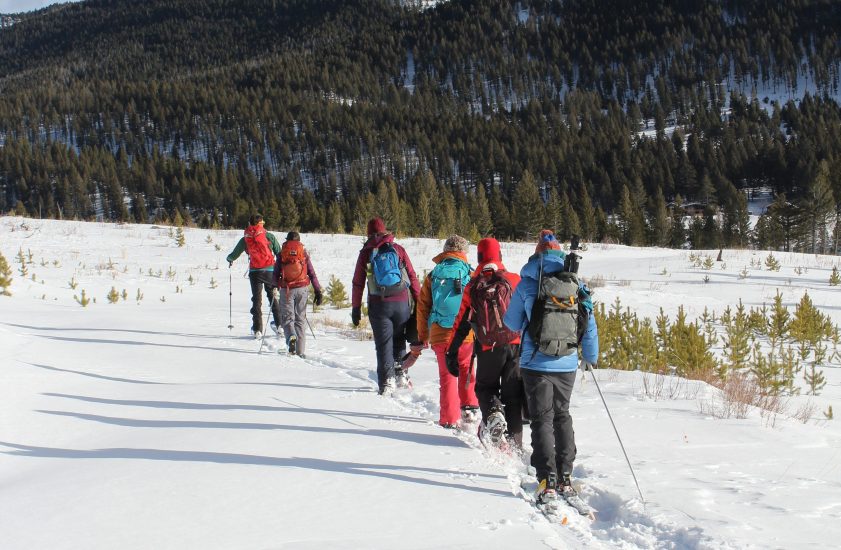 Photo of people cross-country skiing