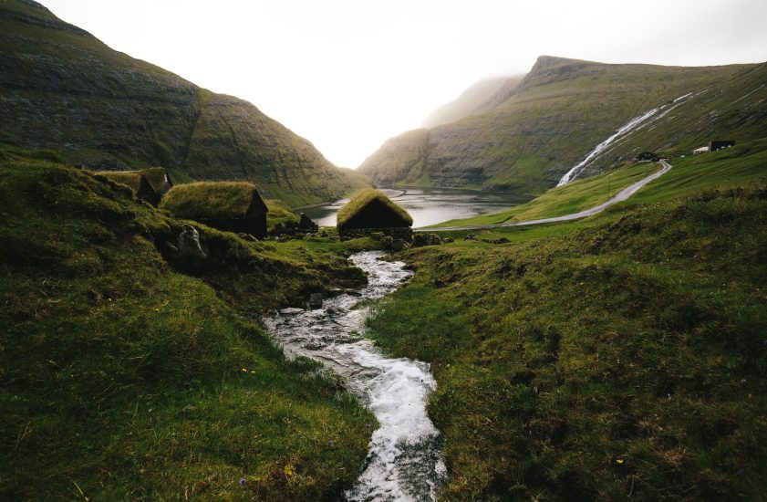 Green Mossy River