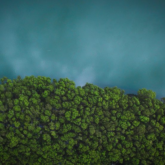 Photo of green lake with trees